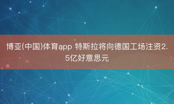 博亚(中国)体育app 特斯拉将向德国工场注资2.5亿好意思元
