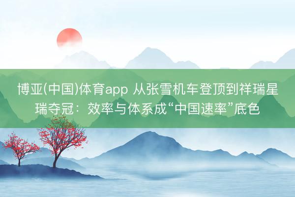 博亚(中国)体育app 从张雪机车登顶到祥瑞星瑞夺冠：效率与体系成“中国速率”底色