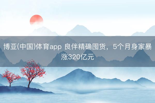 博亚(中国)体育app 良伴精确囤货，5个月身家暴涨320亿元