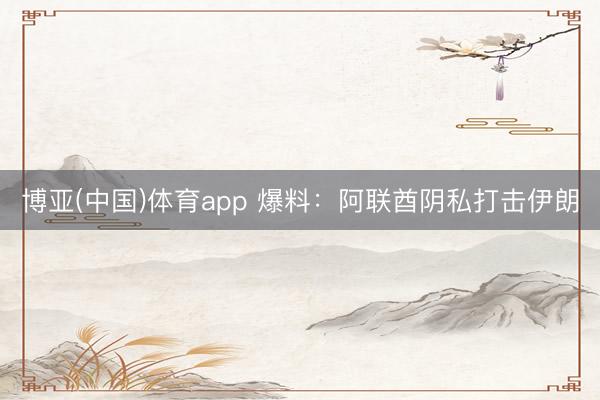 博亚(中国)体育app 爆料：阿联酋阴私打击伊朗
