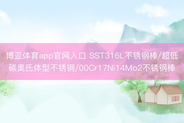 博亚体育app官网入口 SST316L不锈钢棒/超低碳奥氏体型不锈钢/00Cr17Ni14Mo2不锈钢棒