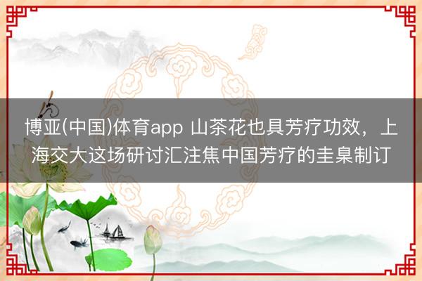 博亚(中国)体育app 山茶花也具芳疗功效，上海交大这场研讨汇注焦中国芳疗的圭臬制订