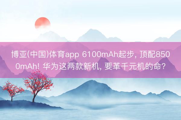 博亚(中国)体育app 6100mAh起步， 顶配8500mAh! 华为这两款新机， 要革千元机的命?
