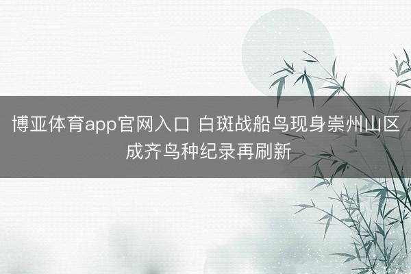 博亚体育app官网入口 白斑战船鸟现身崇州山区 成齐鸟种纪录再刷新
