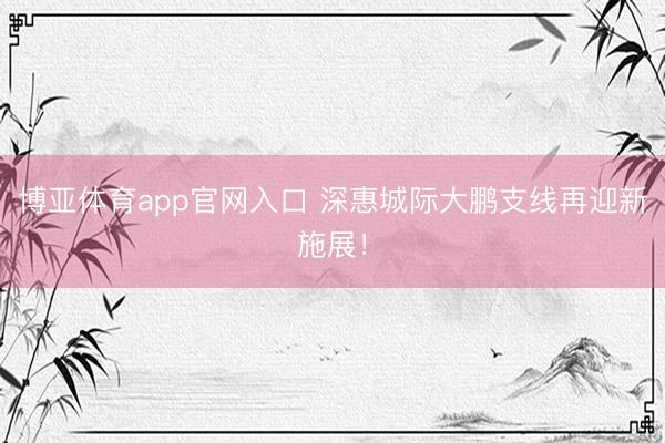 博亚体育app官网入口 深惠城际大鹏支线再迎新施展!
